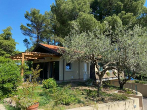 Hotels in Scacciano